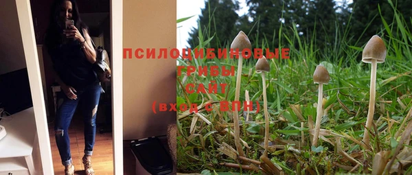 спайс Балахна