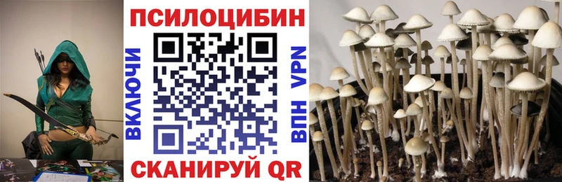 Псилоцибиновые грибы прущие грибы  Купить где  Наволоки 